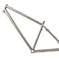 Titanium bicycle frame MCM-Monster